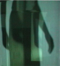 Image of a shadow of a dancer on voile screens 
